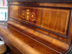 Elegant Antique Piano - art case